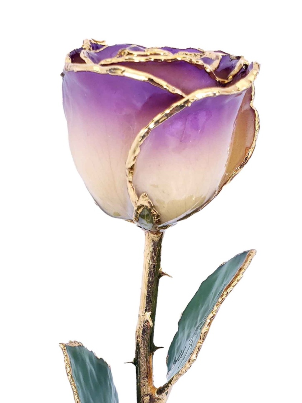 24K Gold Dipped White to Amethyst Rose💜 - Picture 8 of 11